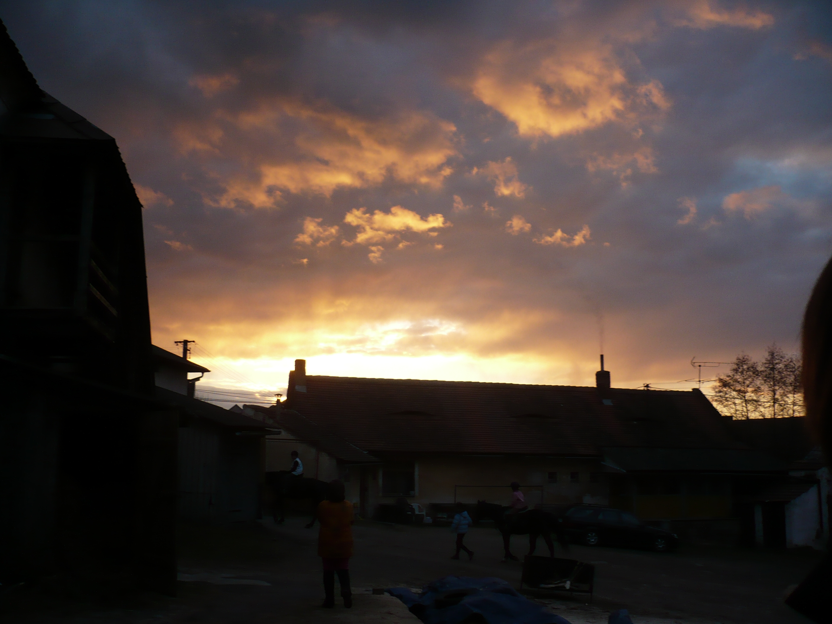 P1000497.JPG